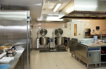 Commercial pest control Auckland